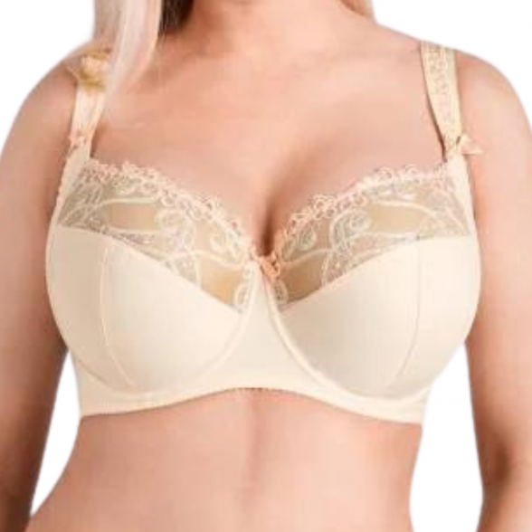 NESSA Celine underwire bra 2