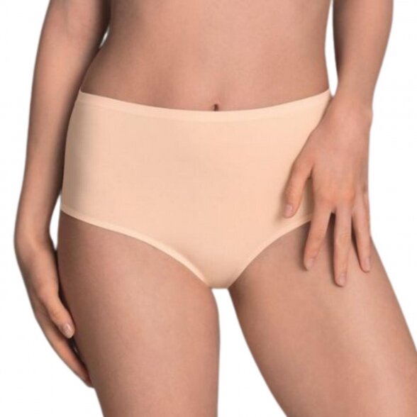 ANITA Essentials Seamless full briefs