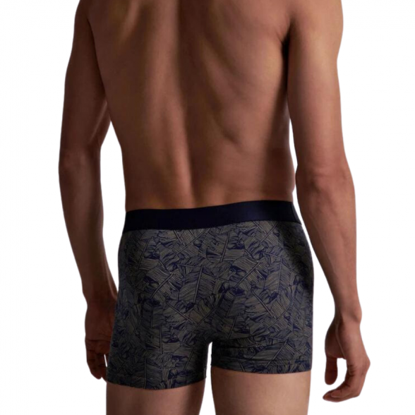 AUBADE Homme Mapa boxer briefs 3