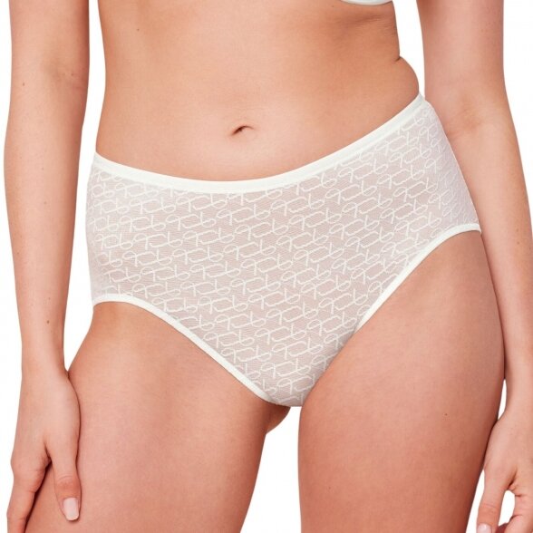 Triumph Signature Sheer Maxi briefs